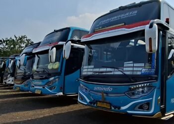 bus pariwisata