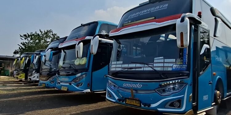 bus pariwisata