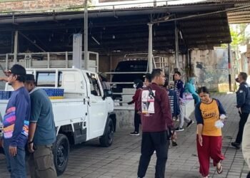 kandang sapi disidak