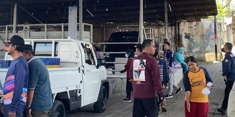 kandang sapi disidak