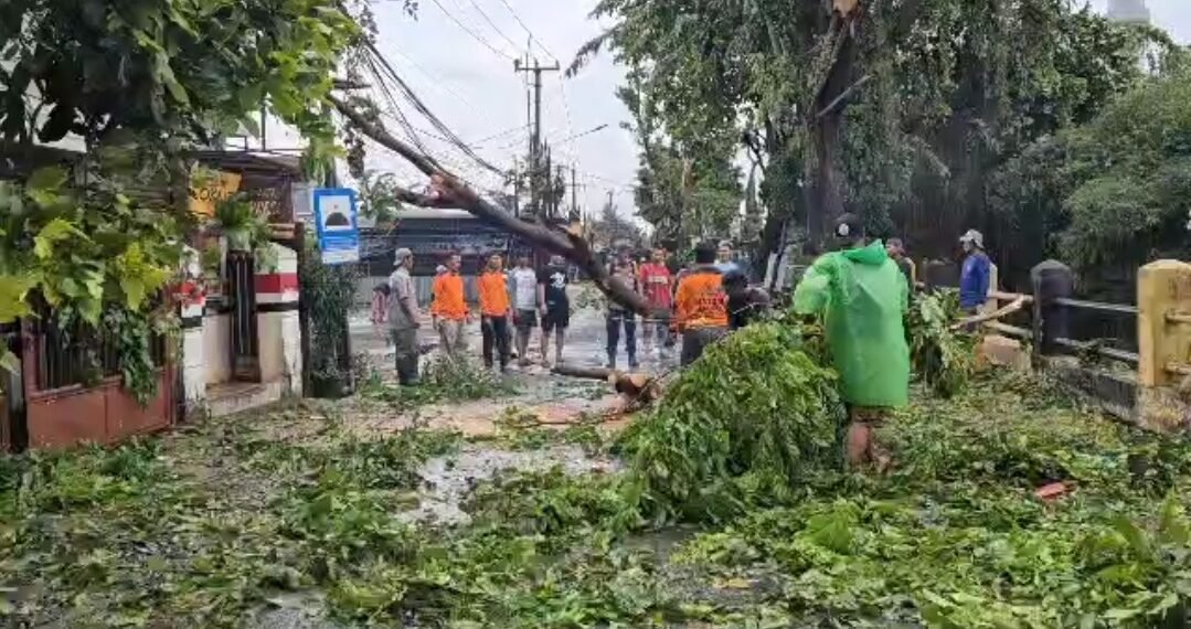 Angin Puting Beliung di Depok Bikin Panik Warga, Sebabkan Pohon Tumbang dan Kios UMKM Rusak