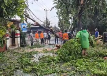 Angin Puting Beliung di Depok Bikin Panik Warga, Sebabkan Pohon Tumbang dan Kios UMKM Rusak