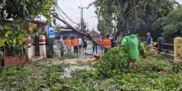 Angin Puting Beliung di Depok Bikin Panik Warga, Sebabkan Pohon Tumbang dan Kios UMKM Rusak