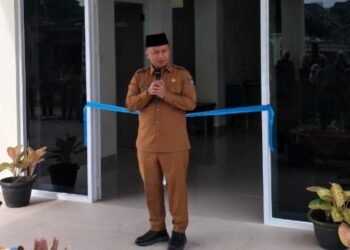 Wali Kota Depok, Supian Suri