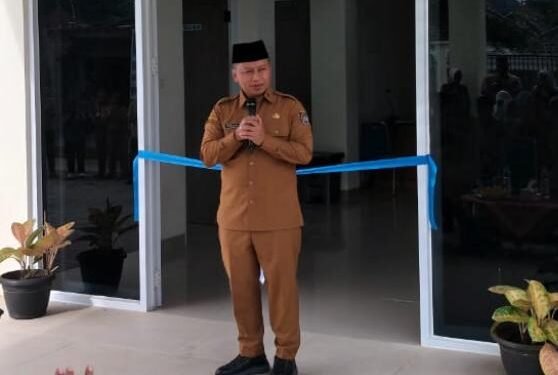 Wali Kota Depok, Supian Suri